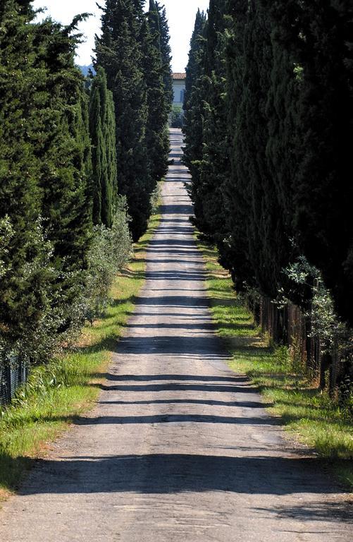 Agriturismo Poggio Arioso Daire Scandicci Dış mekan fotoğraf